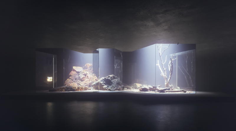 Quixel Megascans - O que é e como utilizá-lo